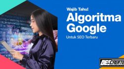 Algoritma Google Terbaru Tahun 2021